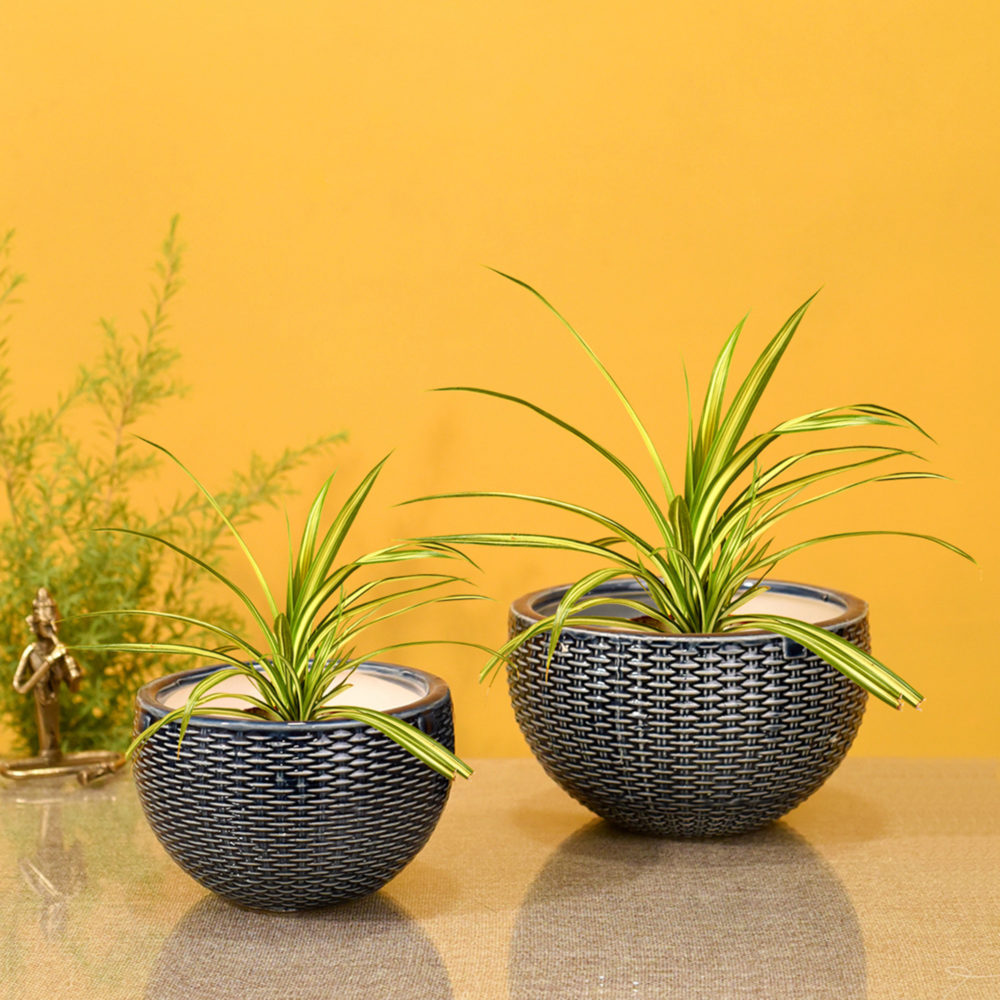 Moorni Blue Weave Planters Set of 2