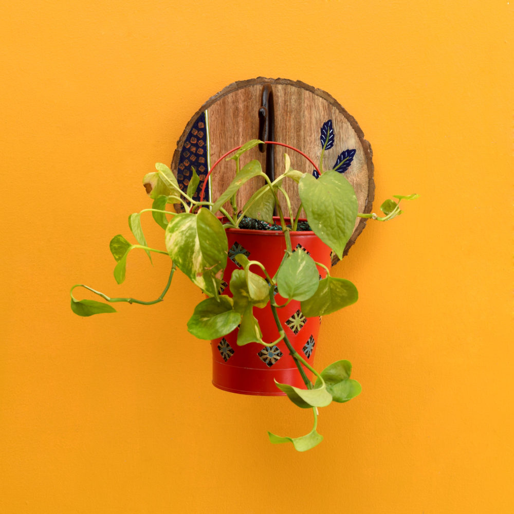 Moorni Red Bucket Metal Planter on a Round Wall Hook